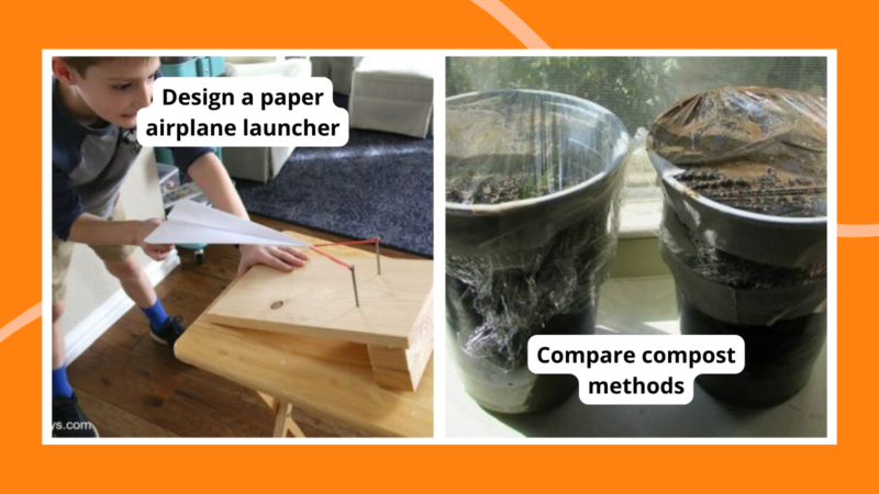 Science Fair Projects: Top Ideas for Middle School Students