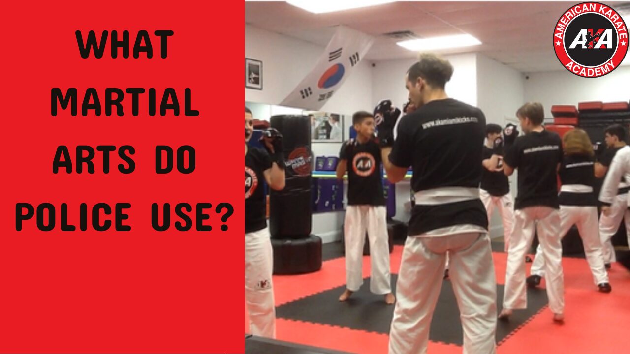 Military and Law Enforcement Combat Training: Martial Arts Systems in Elite Forces